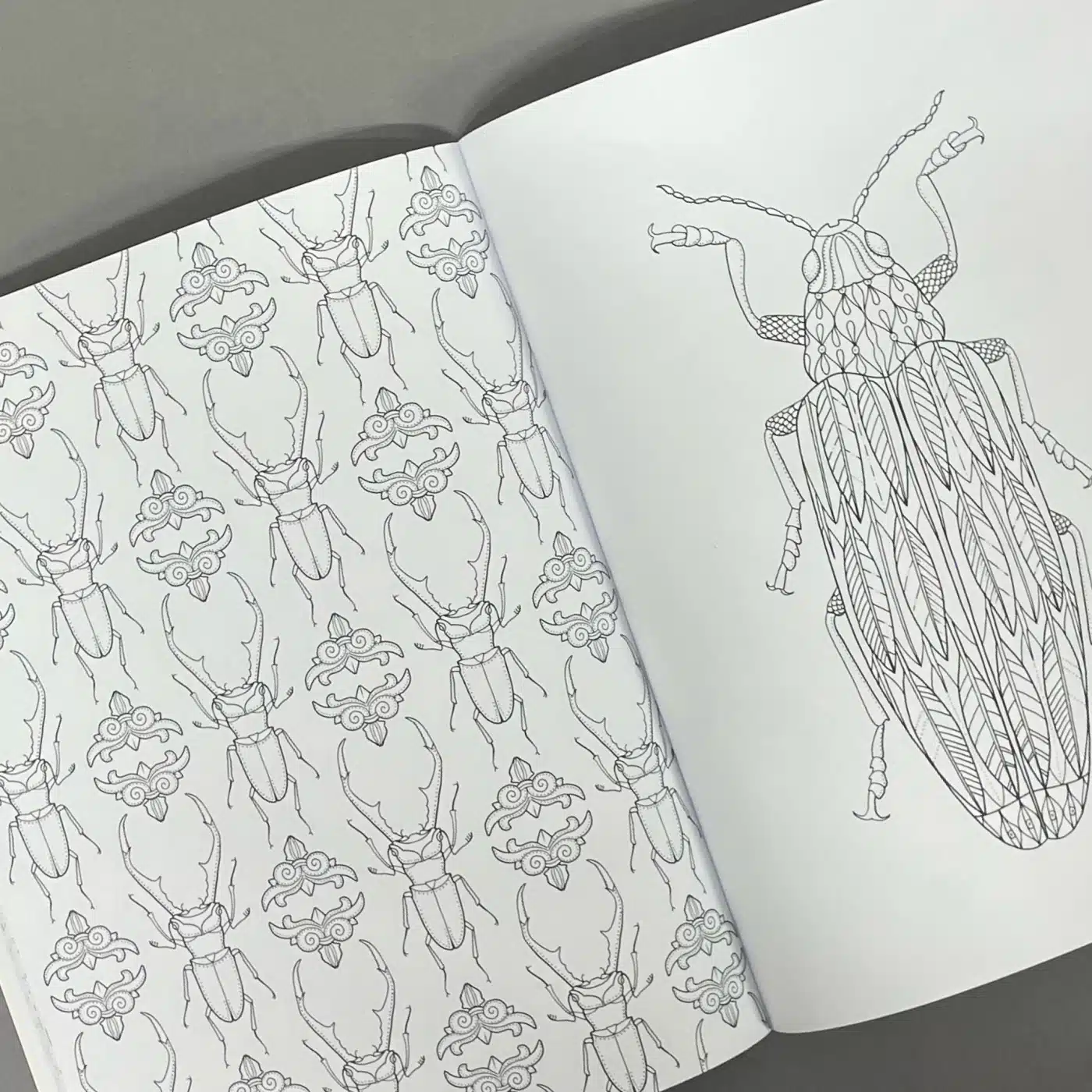 Wonderful Insects kolorowanka 2 Wonderful Insects kolorowanka